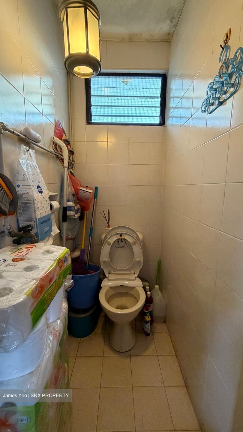 Blk 168 Stirling Road (Queenstown), HDB 3 Rooms #580682311